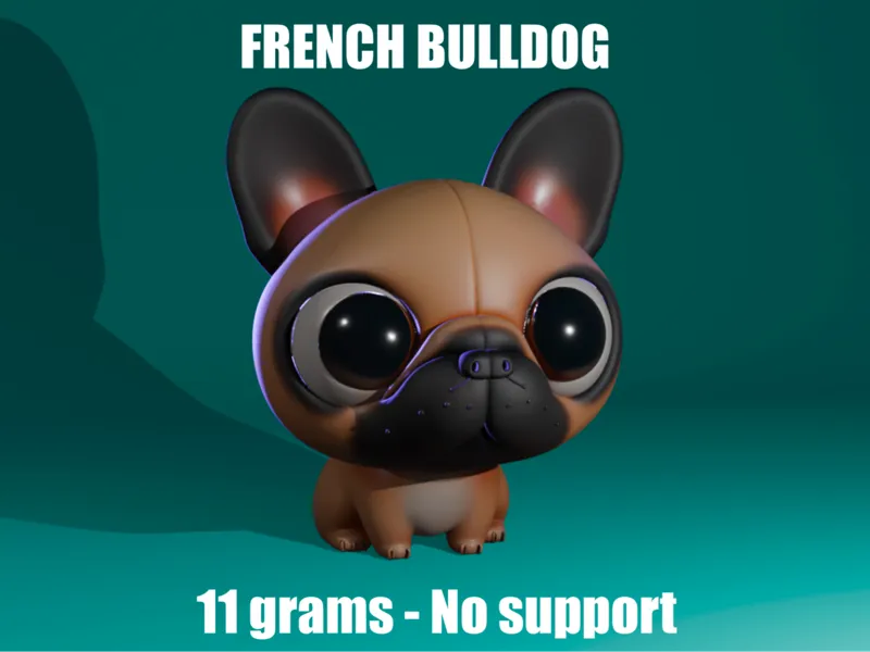 Mini cute French Bulldog