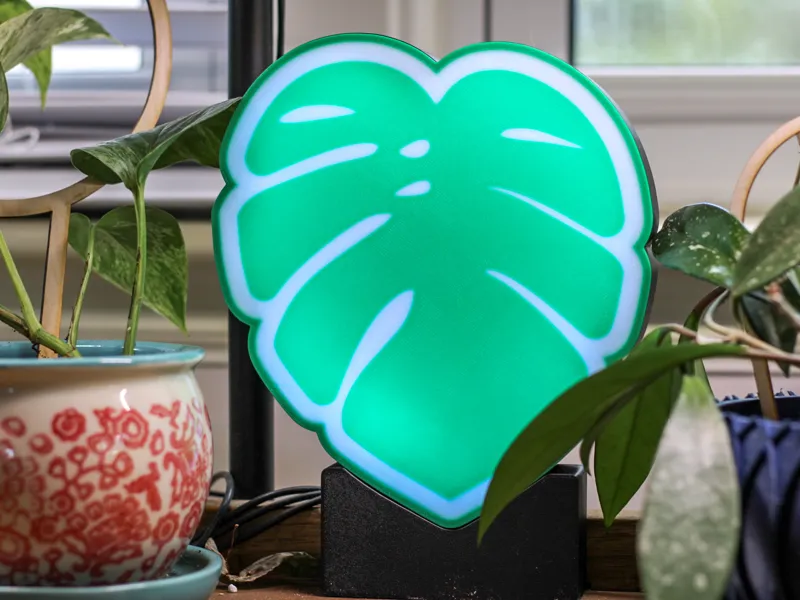 Monstera light box