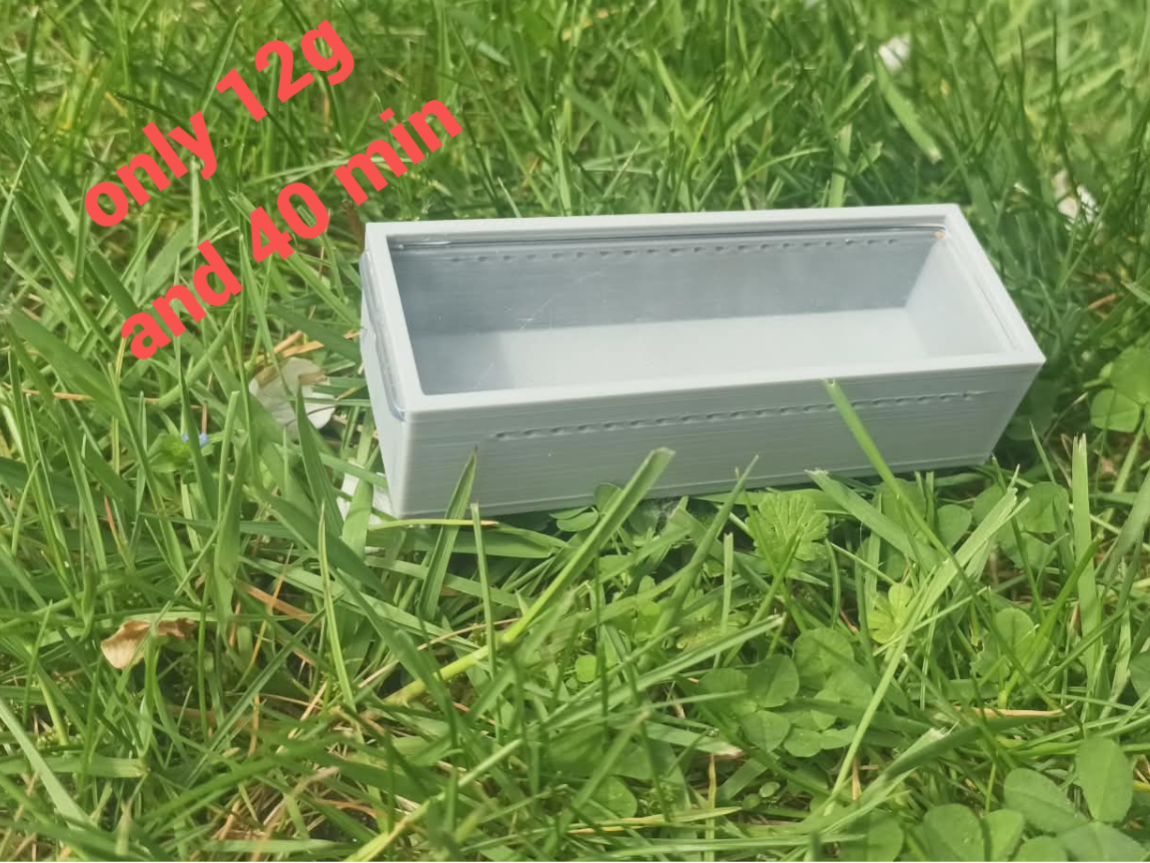 Insect Observation Box with Ventilation Holes