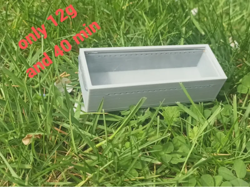 Insect Observation Box with Ventilation Holes