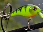Print>swivel>tie>fish! simple crankbait lure!