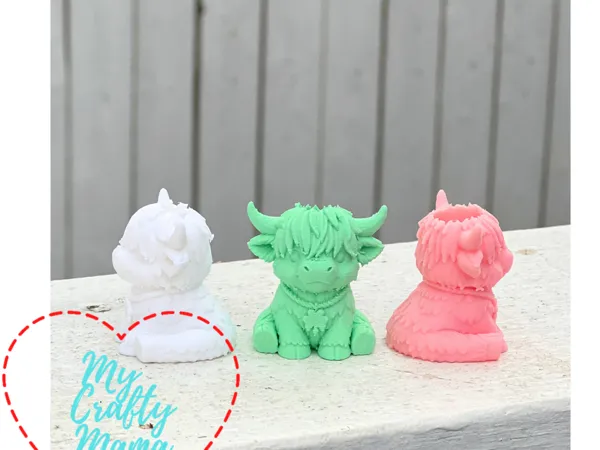 https://makerworld.bblmw.com/makerworld/model/US3aae046f4962d3/design/8a73cc4e1d9cd5c2.png