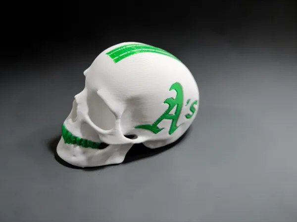 https://makerworld.bblmw.com/makerworld/model/US3ab35064b9a77b/design/706b0a547b477ed3.png