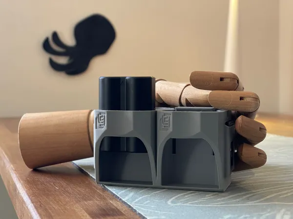 https://makerworld.bblmw.com/makerworld/model/US3ab42ac3f34a69/design/d86ccc81f2c400a9.jpeg