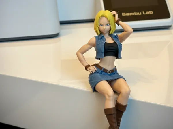 https://makerworld.bblmw.com/makerworld/model/US3abbbf818fa0aa/design/d4f1ee1eee969d13.png