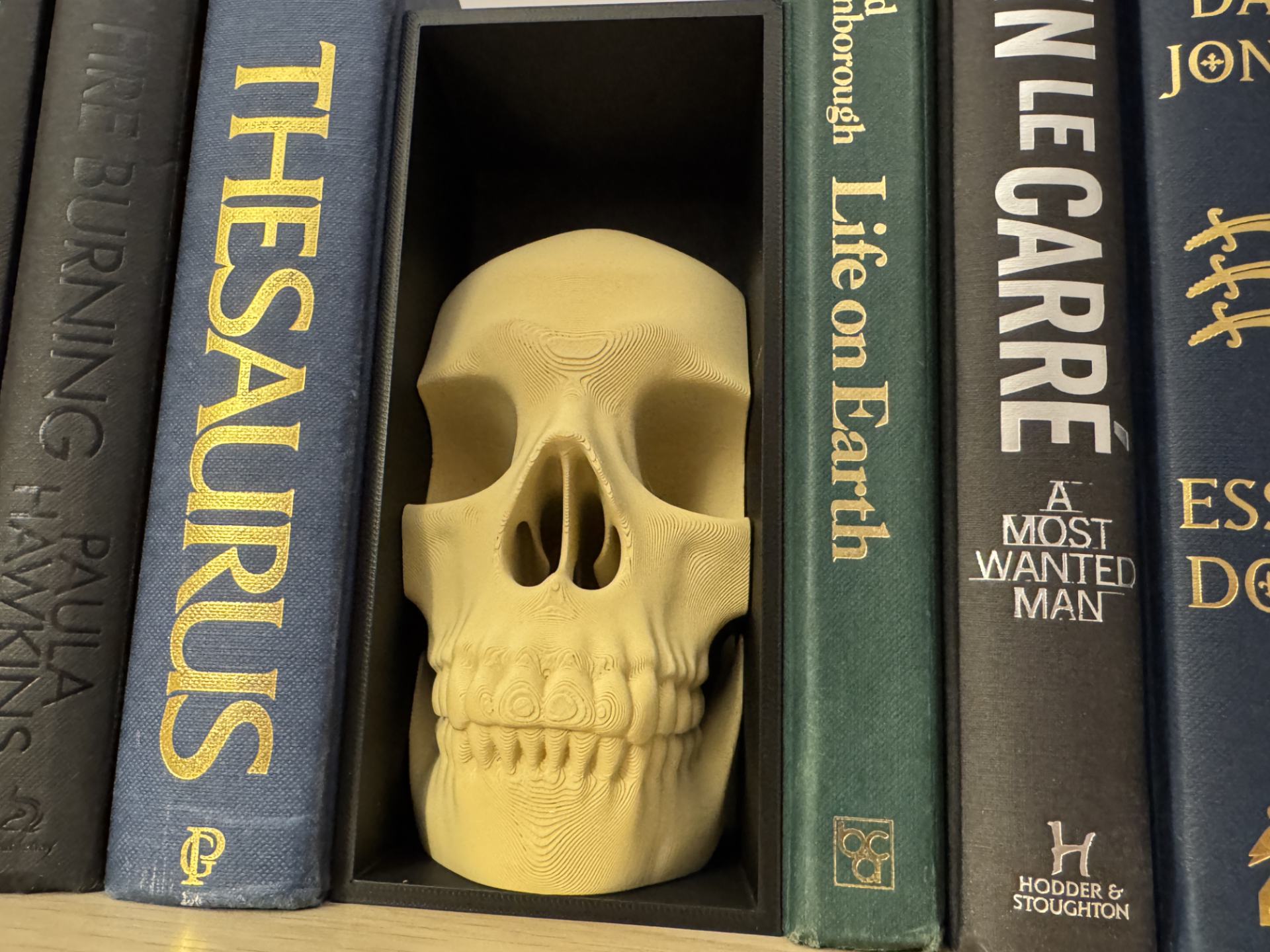 Skull Book Nook Gothic Bookshelf Insert