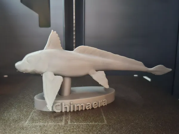https://makerworld.bblmw.com/makerworld/model/US3ac1b491389bc1/design/3aa097c82eff8f02.jpg
