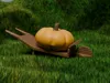 Shire Pumpkin Wheelbarrow