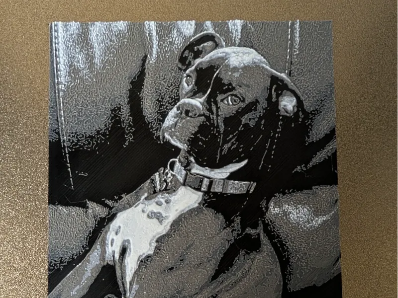 Boxer Portrait