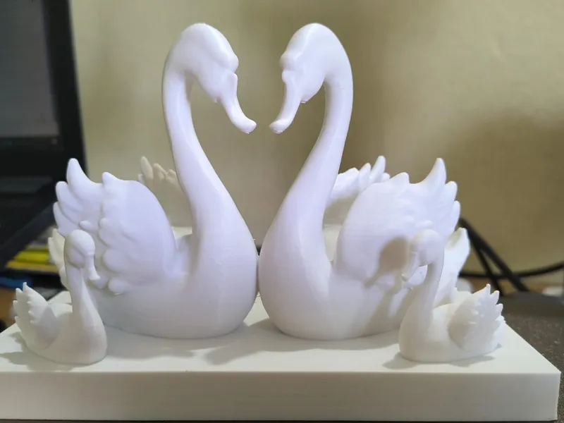 Elegant Couple Swan – 3D Print Model 