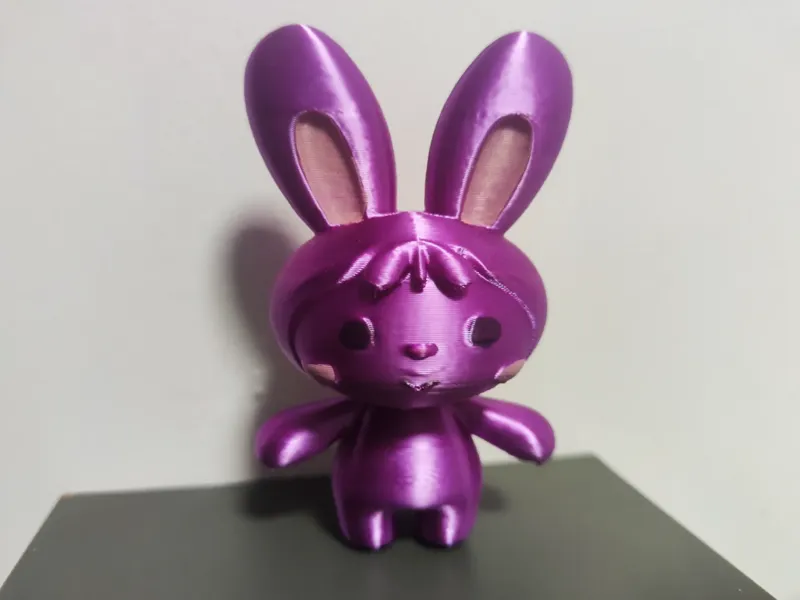 可爱的兔子 Lovely Rabbit