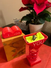 cuore rosso supporti a albero 0.2mm layer, 3 walls, 10% infill