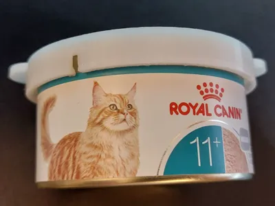 Dog/Cat food can lids (No More Smells!)