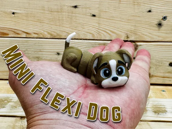 https://makerworld.bblmw.com/makerworld/model/US3ad45f4fb8aa16/design/2024-08-03_809e1c4f0e74b.jpg