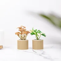 1X Holder