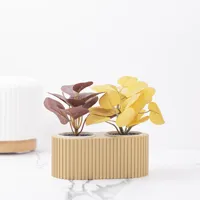 2X Holder