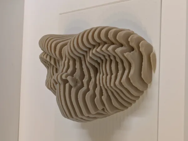 https://makerworld.bblmw.com/makerworld/model/US3add2cd9e01ba3/design/2025-02-19_fe13b3a9a9acd.jpg