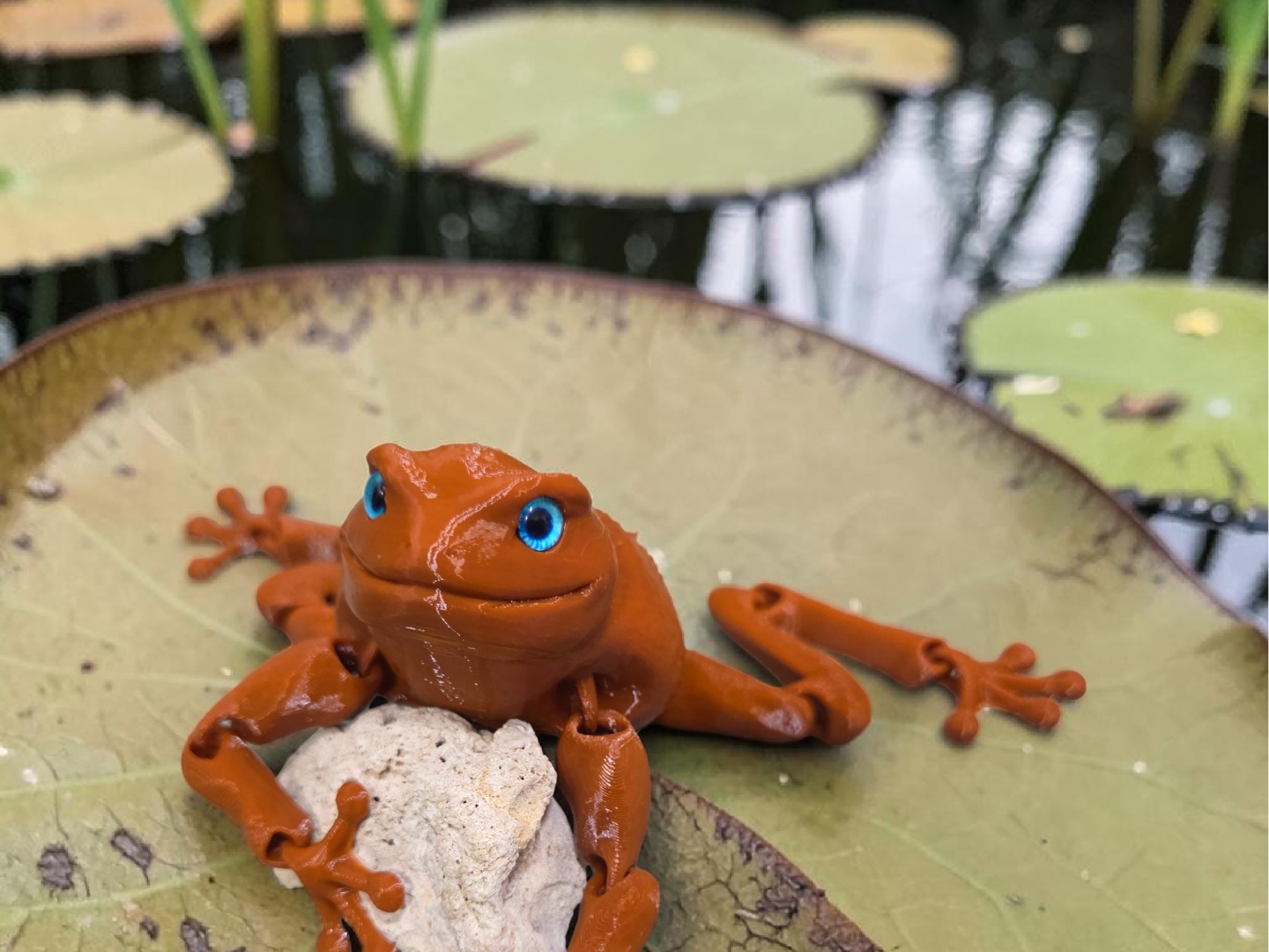 Flexi Toad v2 - glass eye compatible
