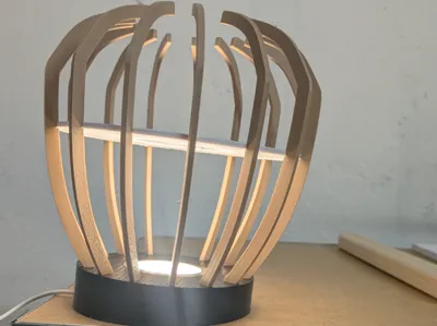 Lamp with Kit 001