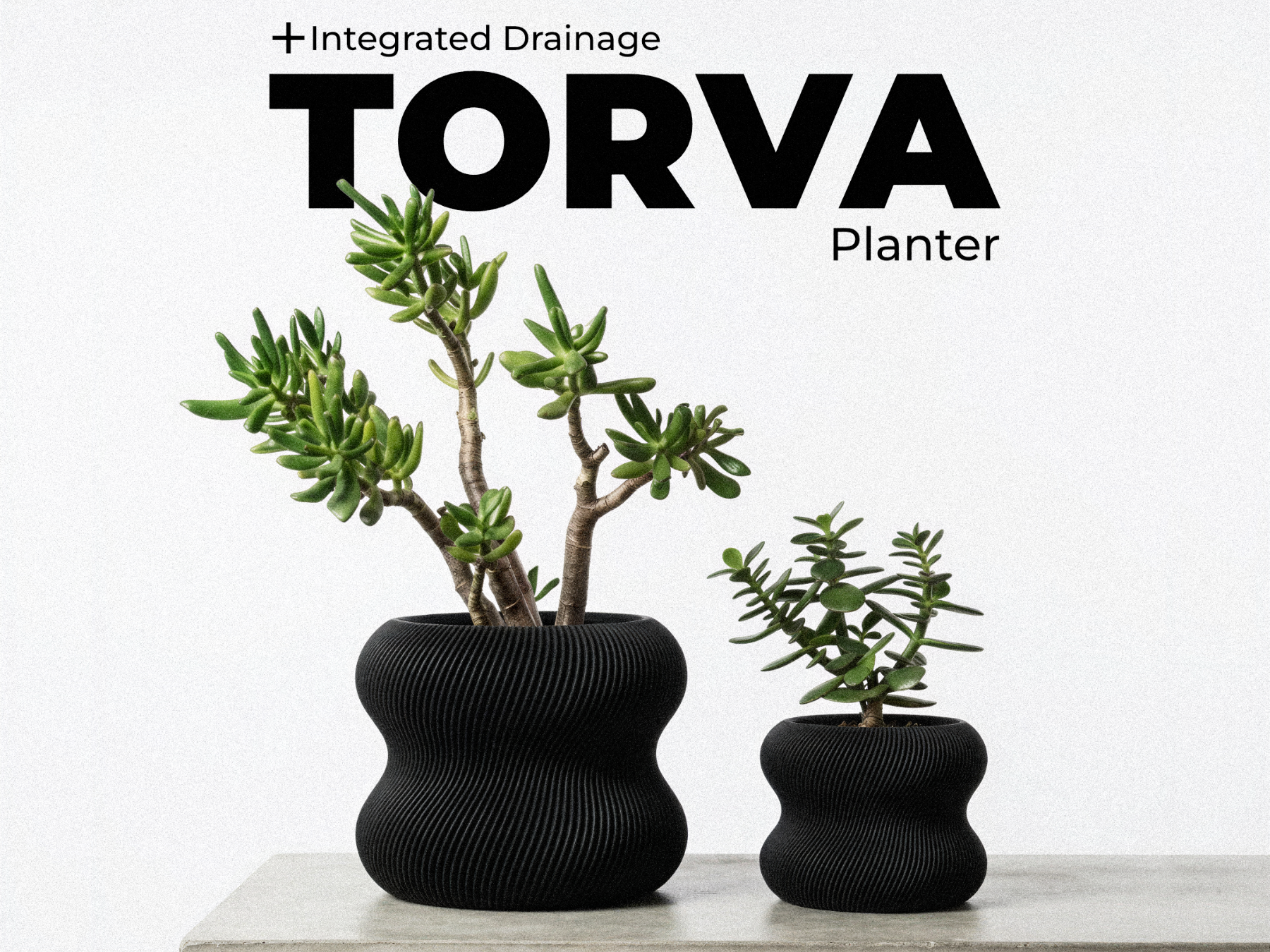 TORVA | Sculpted Plant Pot System