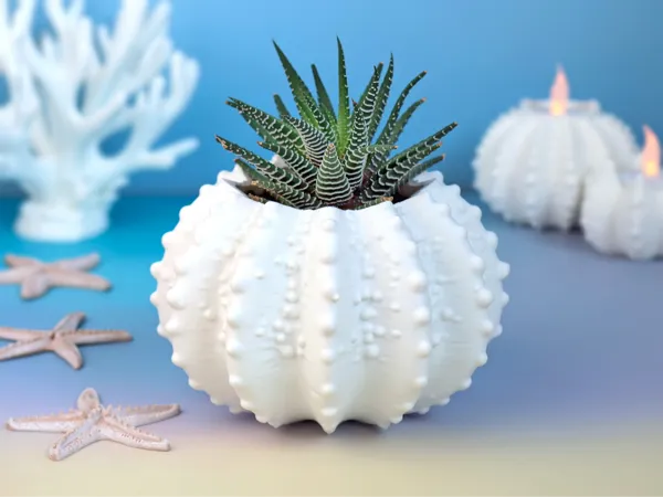 https://makerworld.bblmw.com/makerworld/model/US3ae77a5b15d18/design/2025-06-26_e0bbab8f58328.jpg