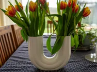 Vase tuyau pour fleurs et herbes — photo 1