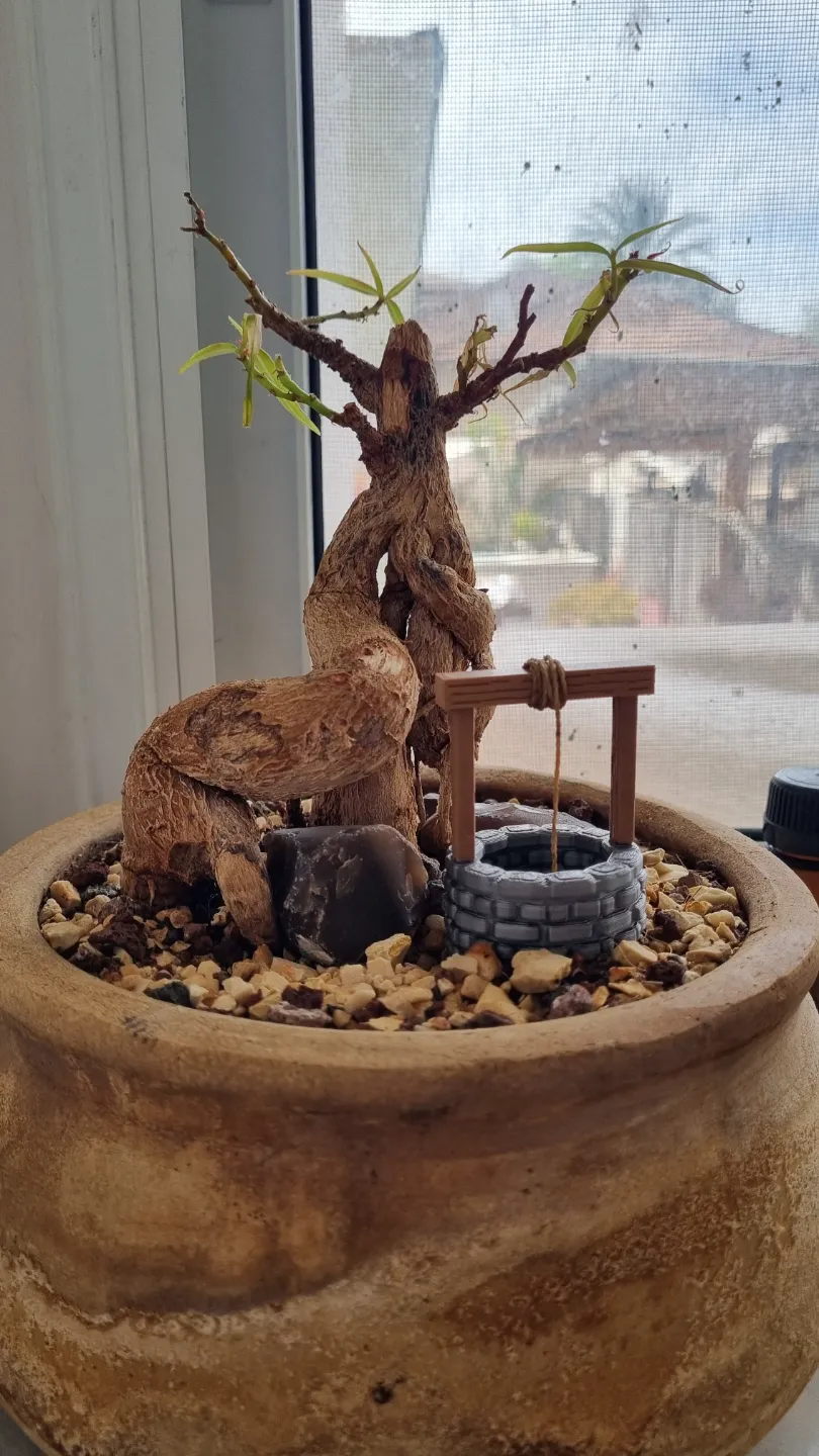 RootWell - A Miniature Well for Endless Plant Care view 2