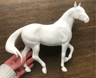 Spanish mare aka August Queen