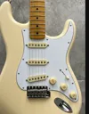 Standard Fender plate print.