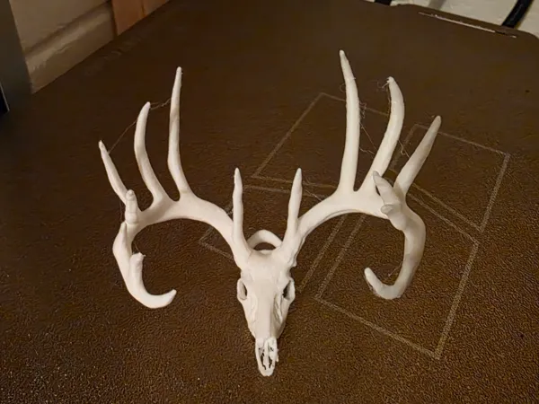 https://makerworld.bblmw.com/makerworld/model/US3af49fc0f2b293/design/2025-11-02_eb6890677f7bb.jpg