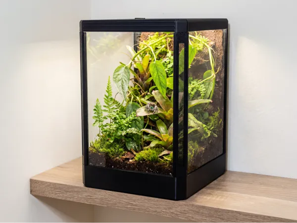 https://makerworld.bblmw.com/makerworld/model/US3afecfce5df21e/design/8c180baab7b1c849.jpg