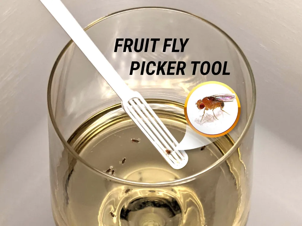 Flit Pickers Fruit fly picker tool - Free 3D Print Model - MakerWorld