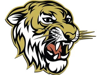 Tiger Hype Chain