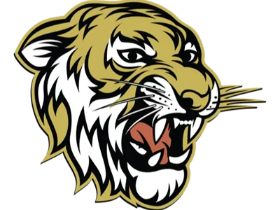 Tiger Hype Chain