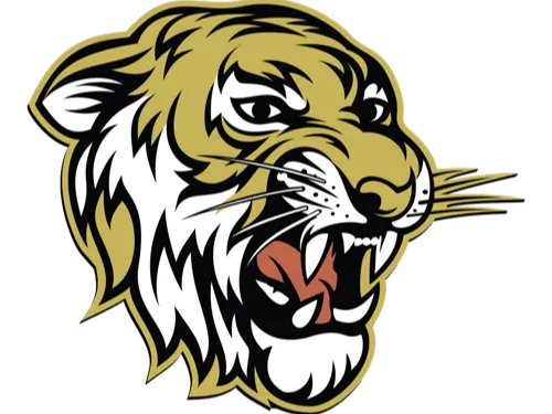 Tiger Hype Chain