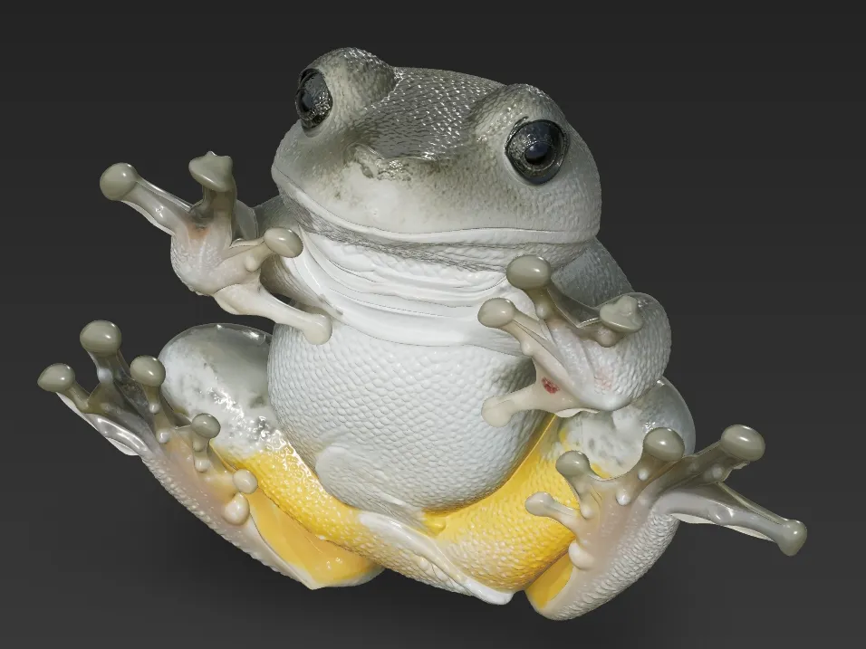 Tree frog - Free 3D Print Model - MakerWorld