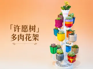 「许愿树」多肉花架