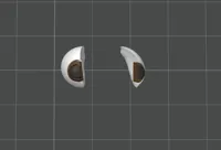 With eyes reassembled for AMS