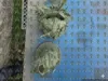 0.08mm layer, 2 walls, 15% infill
