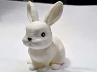 Egg rabbit