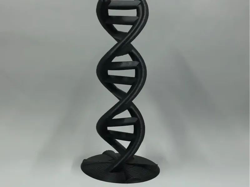 DNA helix