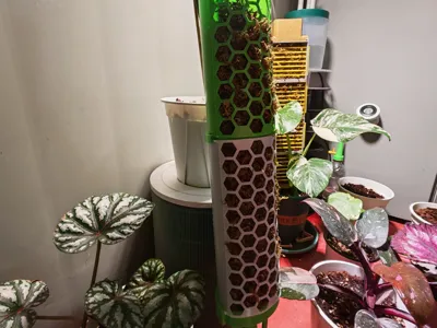 Honeycomb Sphagnum Moss Column