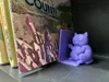 Mirrored - Cat on right side