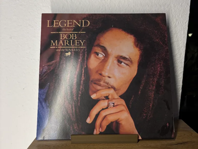 Vinylplattenhalterung