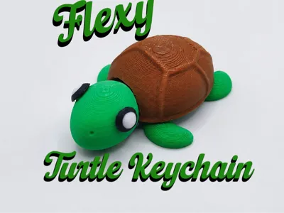 Cute Turtle