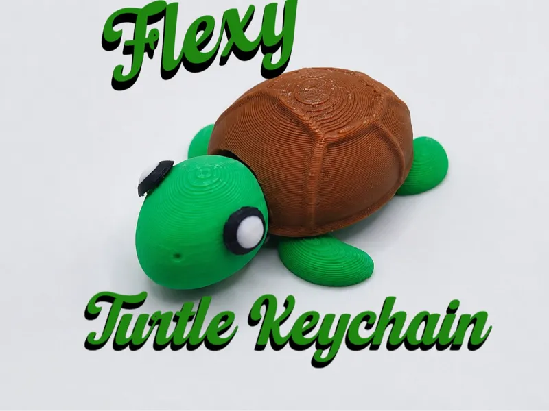 Cute Turtle