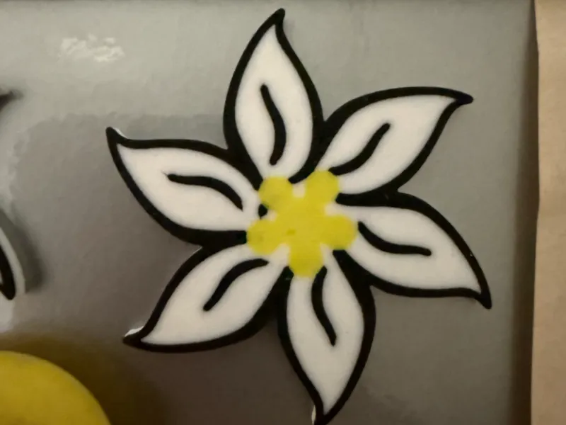 Edelweis Kühlschrankmagnet