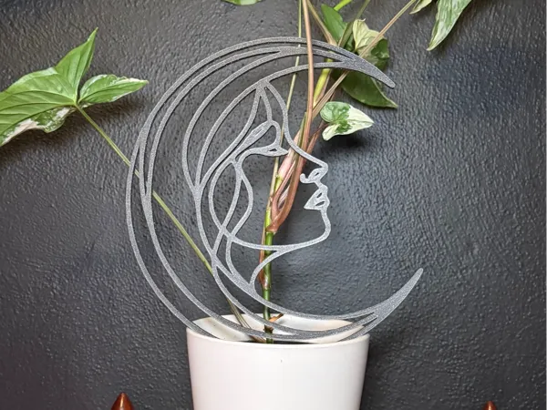 https://makerworld.bblmw.com/makerworld/model/US3b295cf3803f97/design/2025-08-21_4ccf5f72f8933.jpg