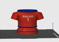 Haaland