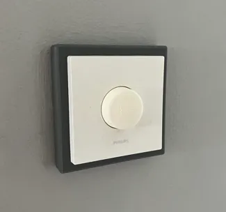 Philips Hue Button UK Switch Adapter/Converter